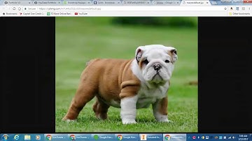 freeCodeCamp | Build a Portfolio Page | Part 1