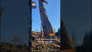 Download Lagu amazing skil machine #fouryou #machine #fouryourpage #viralshorts MP3