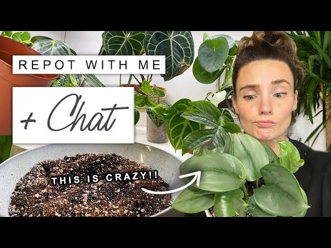 Plant Chores +