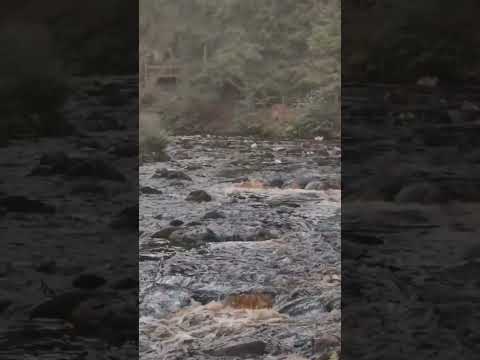 Путешествие в Карелию Долина водопадов и невероятно красивая природа