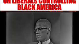 ⁣Malcolm X on Liberals controlling Black America