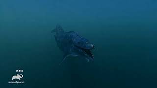 Promo Animal Planet Lost Beasts Unearthed