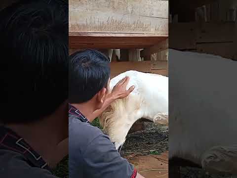Cara mudah mengetahui