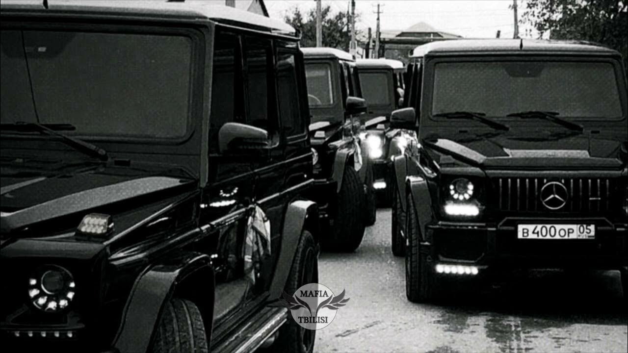 там таз стелит ели ели