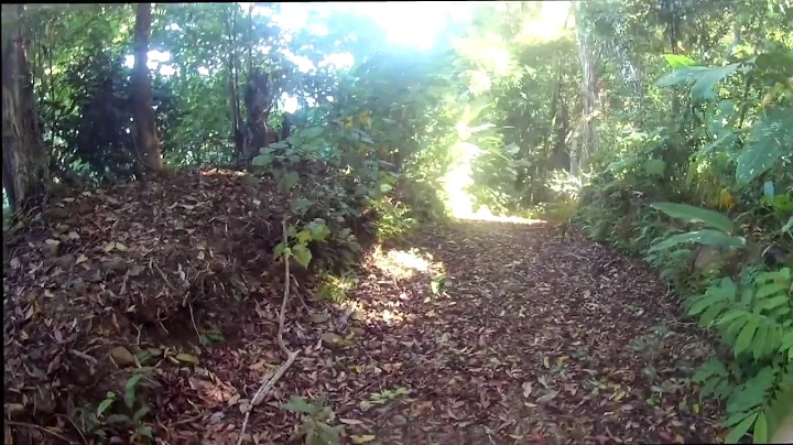Trail to Natalie's on Boca Chica Island