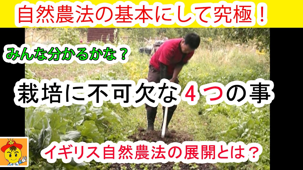 【自然栽培197】彼らの回答に感動！！自然農法を教えた小学生に聞いてみた！野菜を育てるのに必要な事は？