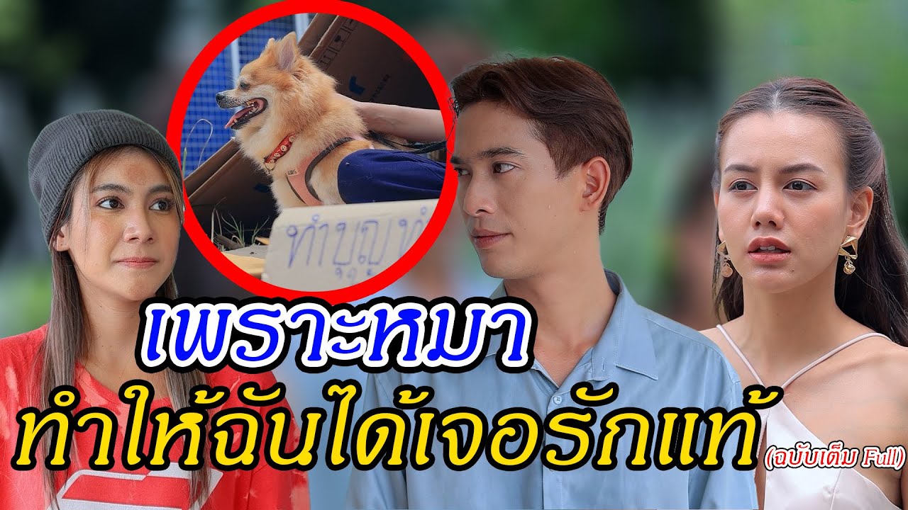 เพราะเจ้าตูบทำให้เราได้พบกัน (ละครสั้น) - DS หนังสั้น
