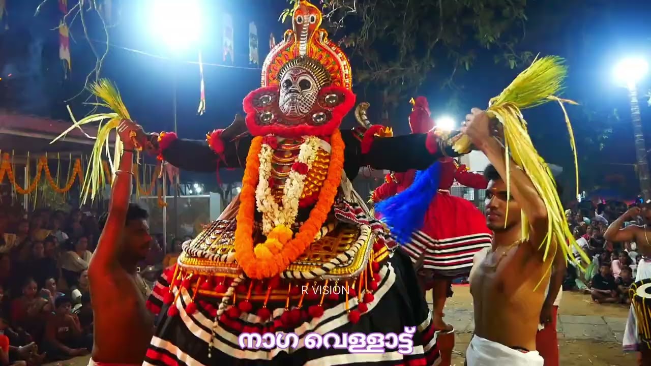 ചെറൂപ്പ പൊക്കിണാത്ത് ഭഗവതി കാവിൻ്റെ തിരുമുറ്റത്ത് നിറഞ്ഞാടി നാഗ വെള്ളാട്ട്