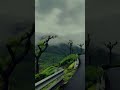 sad song #sad #rain #sadsong #shorts