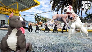 Termi̇natör Gerçeği̇ Öğrendi̇ Pi̇tbull Kratosun Büyük İhaneti̇ - Gta 5