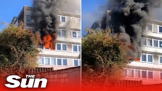 Thornton Heath fire: Terrifying moment woman is TRAPPED in blaze screenshot 5