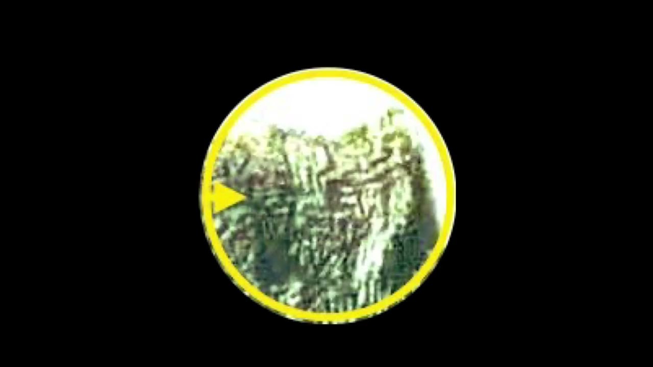 Ancient 6000 BCE Greek Dispilio Tablet  Reveals Hidden Demon Gnostic Archon 1 min