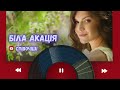 Біла акація Сучасна українська танцювально романтична пісня