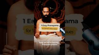 1 Easy Pranayama for Stomach related issues by Himalayan Siddha Akshar shorts