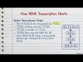 Eukaryotic Transcription by RNA Pol I and RNA Pol III NET|GATE|NEET Lifescience  @NEXTGENBIOACADEMY
