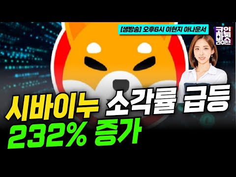 시바이누(SHIB) 소각률 급등, <strong>232</strong>% 증가 (이현지)