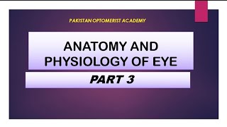 Mcqs on anatomy physiology of eye (part 3) mcqs for optometrist opthalmic technician exams