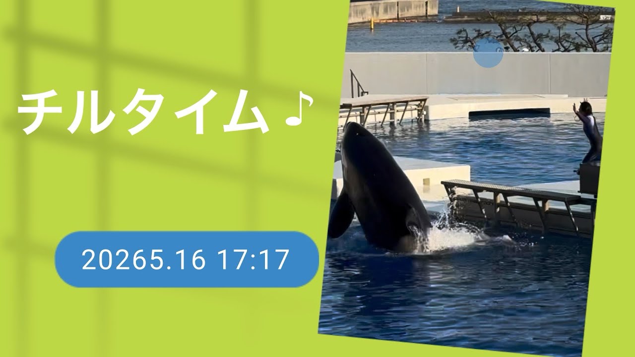 喝飛毘シーマ Chill time♪ 2026.5.16 17:17 - YouTube