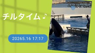 大巡礼★富を築き理想の人生へブレスチャージ可オルゴナイト Chill time♪ 2026.5.16 17:17 - YouTube