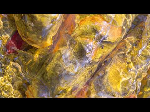 Blawan - Gi Mi Keys Back