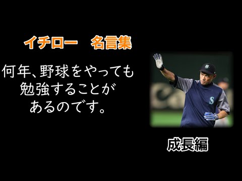 ツナグ Youtuber比較 名言ch Youtube分析