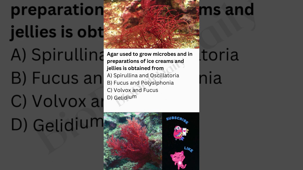 Score 360/360 in NEET Bio 2026 - Don't Miss 