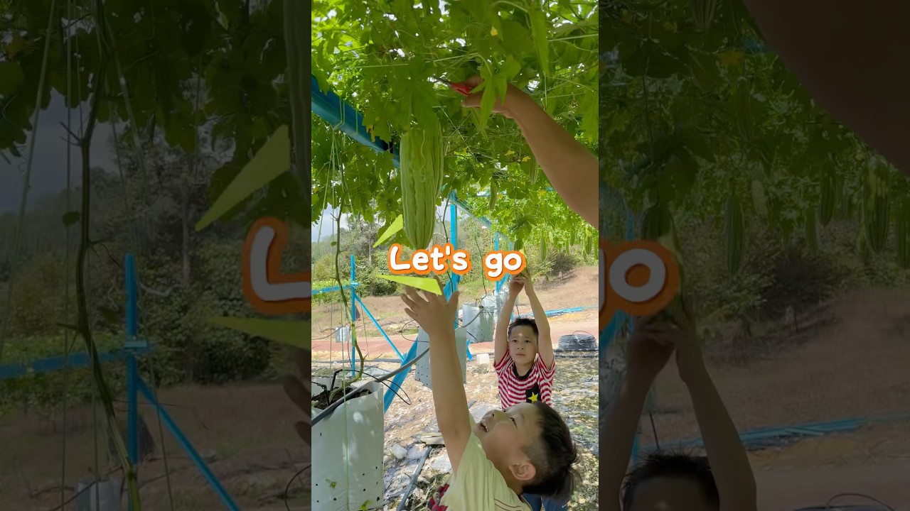 Little helper in action 