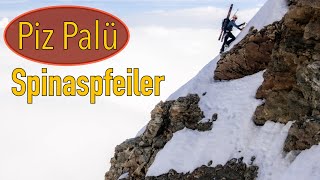 Ideale Verhältnisse Am Spinaspfeiler Piz Palü 3900M Nordwand Mit Ski Vom Tal