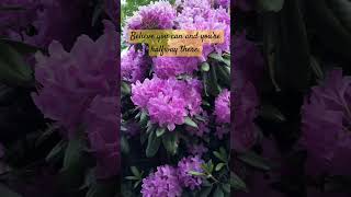 The mindset shift you need today #foryou #beautiful #style