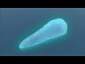 4 周辺海域の生物資源