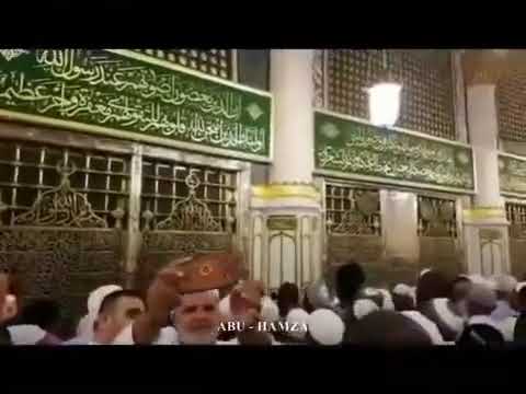 المصطفى روح الوجود وسره فضيلة الشيخ محمود الدرة 