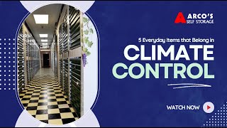 Not Just for Fancy Stuff: 5 Everyday Items That Belong in Climate Control | Arco's Self Storage