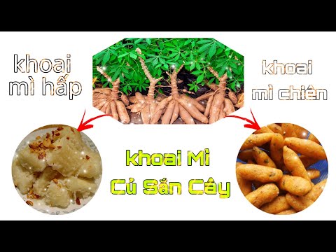 Video Cùng Làm Bánh Khoai Mì Nào! | Experience with SuBi - youtube