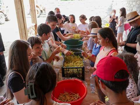 Școală de vară pentru 50 de elevi, la Seminarul Teologic Ortodox