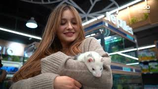 Visitar Petco Chile es toda una experiencia
