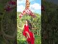 bali vibes ....