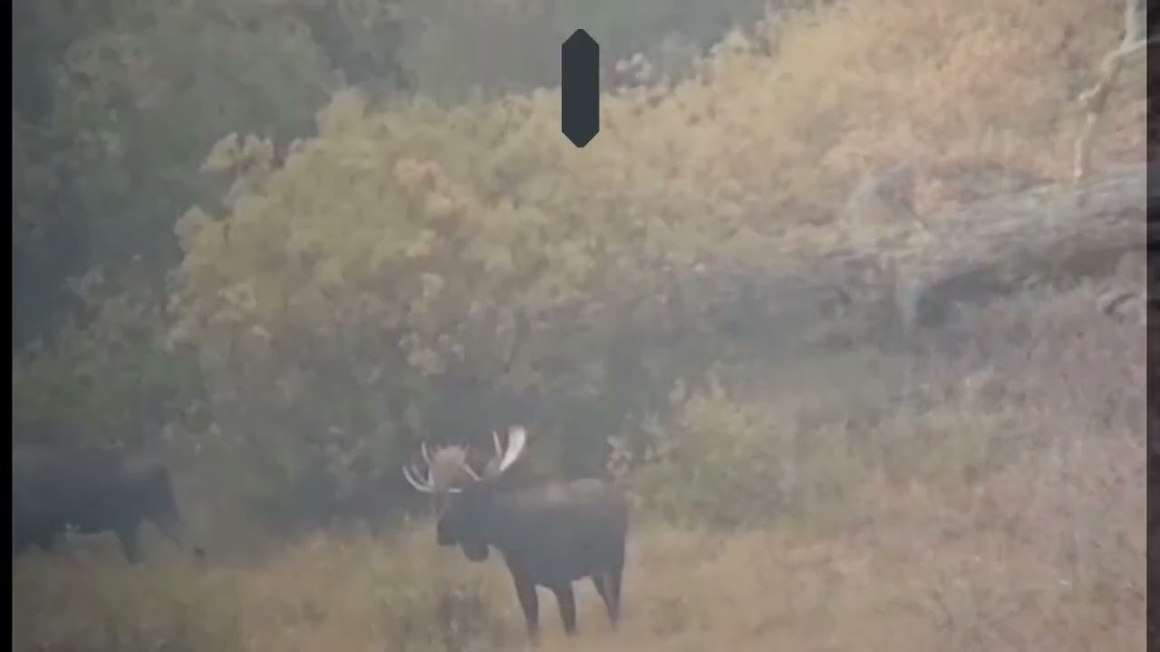 Long Range Hunting Match Bullets Kill Reel YouTube