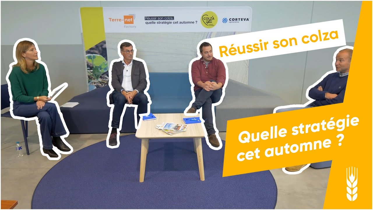 Réussir son colza : quelle stratégie cet automne ?