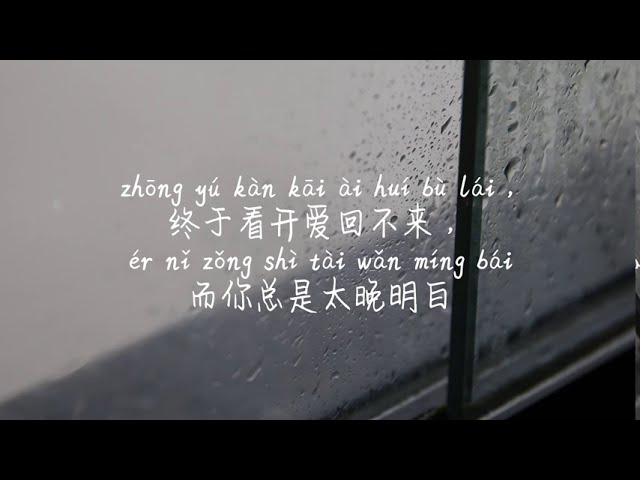 【倒带-蔡依林】DAO DAI-CAI YI LIN (JOLIN TSAI) /TIKTOK,抖音,틱톡/병음가사,拼音歌词,pinyin lyrics/광고 없음,No AD,无广告 class=