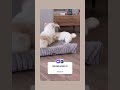 https://fonzip.com/hepad/bagis-yap-- Evrenin en güzel sesleri🤲🫶🐾
