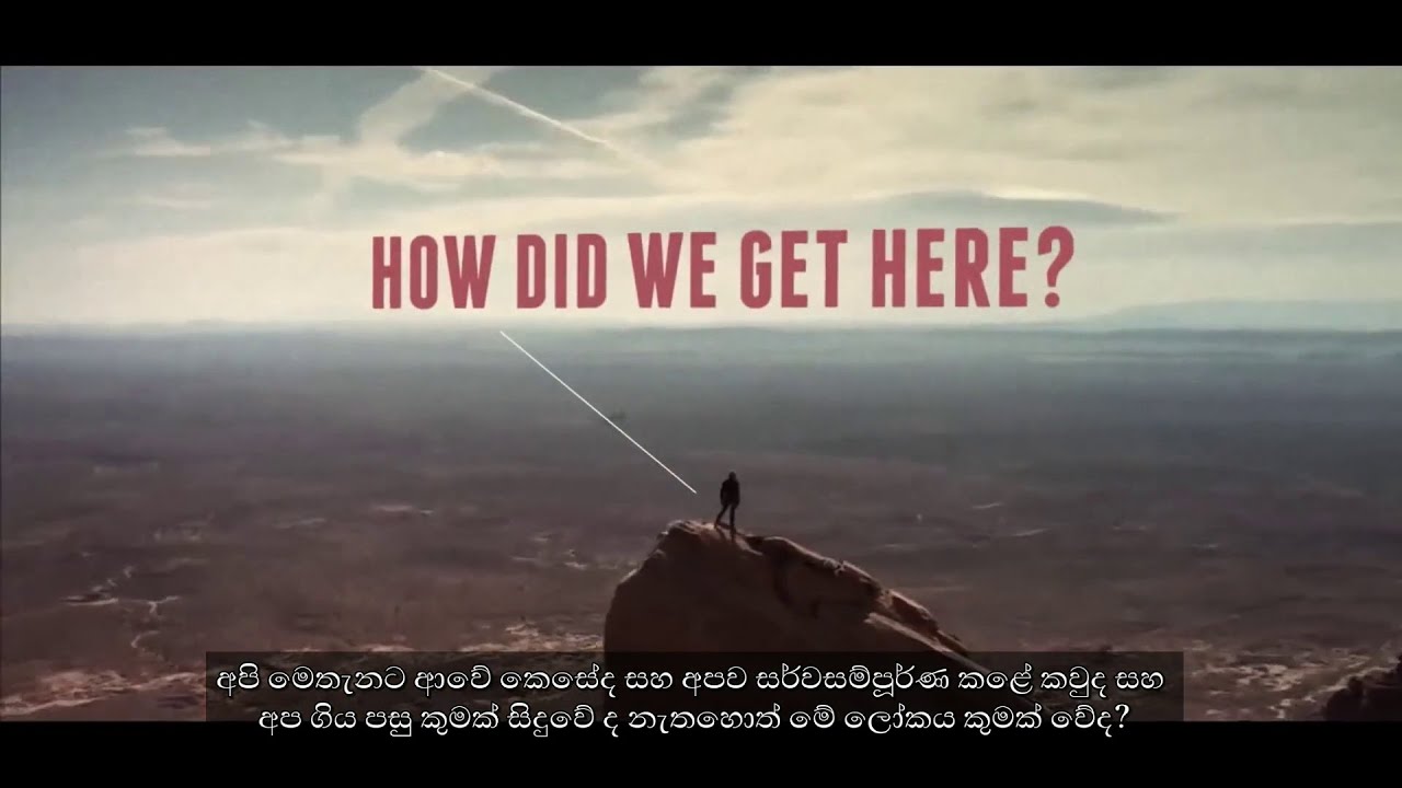 The Meaning Of Life With Sinhala Subtitle YouTube