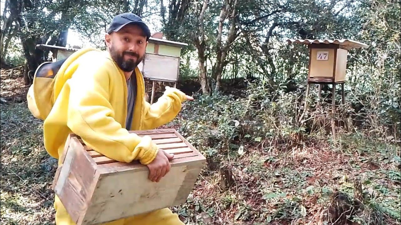 Começar a PRÉ SAFRA agora???