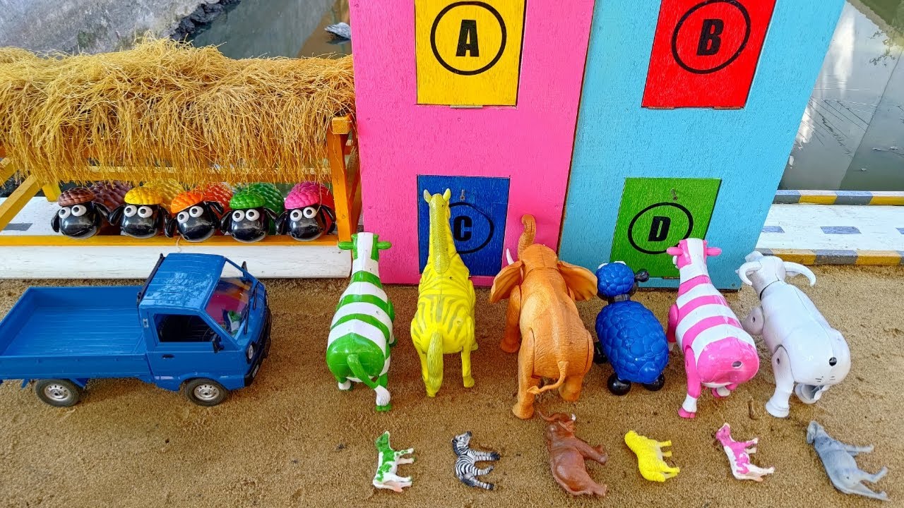 Simulasi Potong Sapi Kurban ‼️ Proses Sapi Gajah Kerbau Zebra Kambing Melahirkan