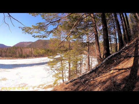 Первое тепло, первые выезды на природу. Жизнь в деревне.