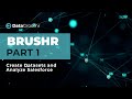 BRUSHR - Create Datasets and Analyze Salesforce Data Quality (1 of 3)