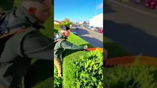 Trimming green hedges with an electric trimmer for a neat and beautiful street appearance daily