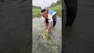 Incredible method of catching fish with bamboo traps-02 #fish #trap