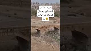 حرامية الثورة كلها كانت بحماة وأولهم مجهول النسب😂 #سورية #مجهول_النسب