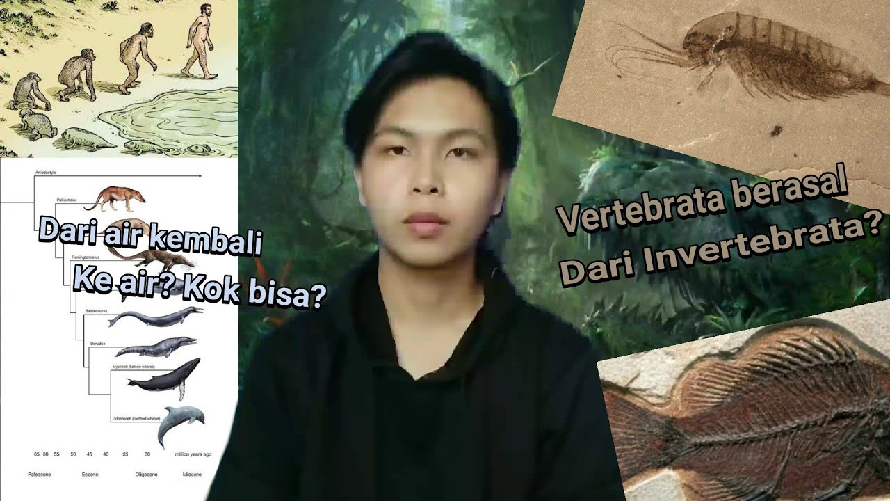 Evolusi Invertebrata dan Vertebrata