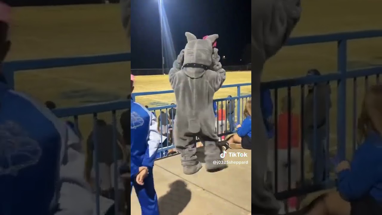 Had a lot of fun as a mascot!  